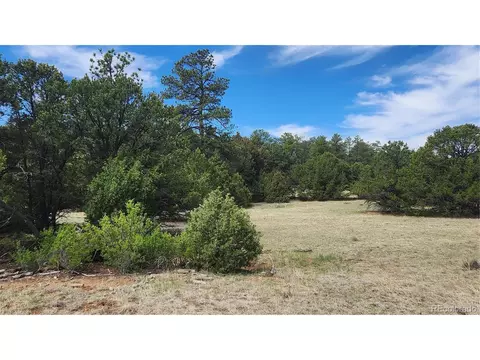 20 Th Trl, Cotopaxi, CO 81223 photo 3