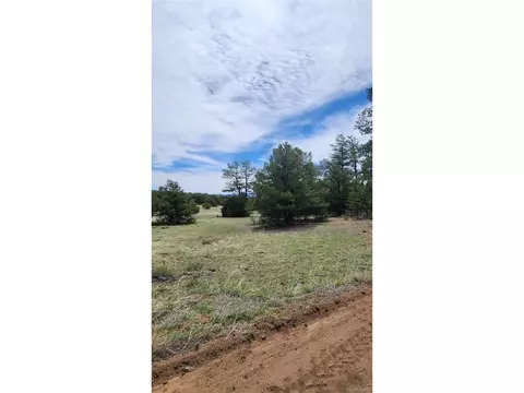 20 Th Trl, Cotopaxi, CO 81223 photo 16