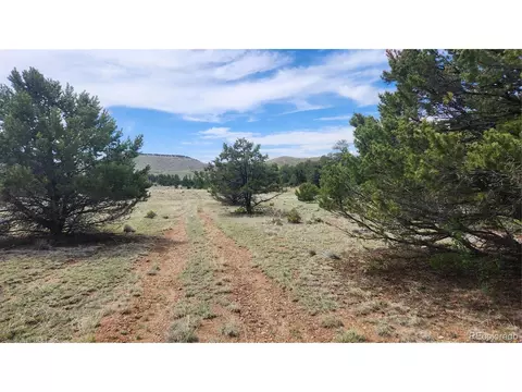 20 Th Trl, Cotopaxi, CO 81223 photo 13