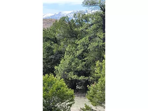20 Th Trl, Cotopaxi, CO 81223 photo 11