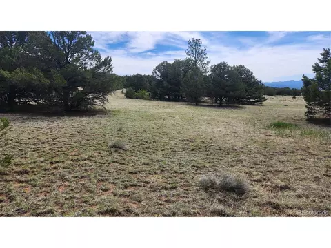 20 Th Trl, Cotopaxi, CO 81223 photo 5