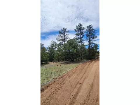 20 Th Trl, Cotopaxi, CO 81223 photo 15
