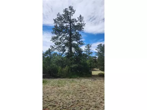 20 Th Trl, Cotopaxi, CO 81223 photo 8