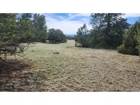 20 Th Trl, Cotopaxi, CO 81223