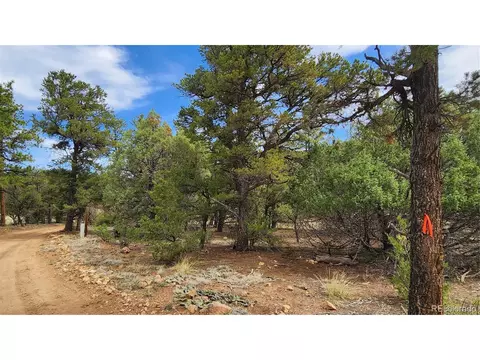 20 Th Trl, Cotopaxi, CO 81223 photo 4