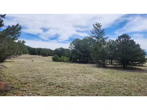 20 Th Trl, Cotopaxi, CO 81223 photo 12