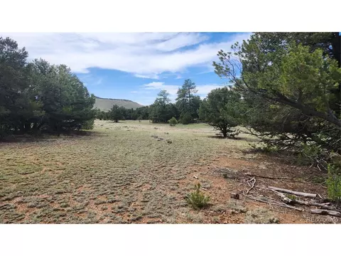 20 Th Trl, Cotopaxi, CO 81223 photo 7
