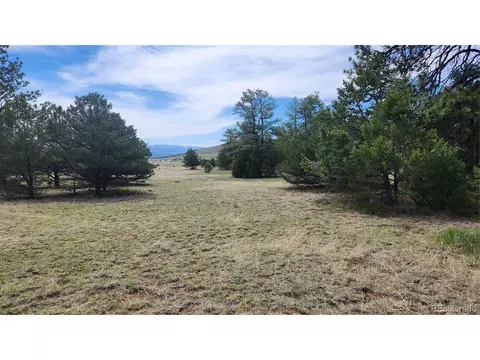 20 Th Trl, Cotopaxi, CO 81223 photo 10