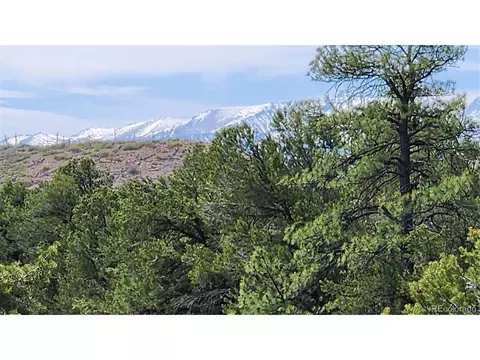 20 Th Trl, Cotopaxi, CO 81223 photo 2