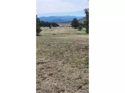 20 Th Trl, Cotopaxi, CO 81223 photo 6