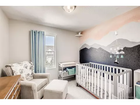 4606 N Bend Way, Firestone, CO 80504 photo 24