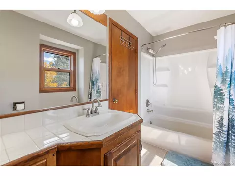 Bath - 356 Spring Valley Dr, Divide, CO 80814 photo 3 of 6