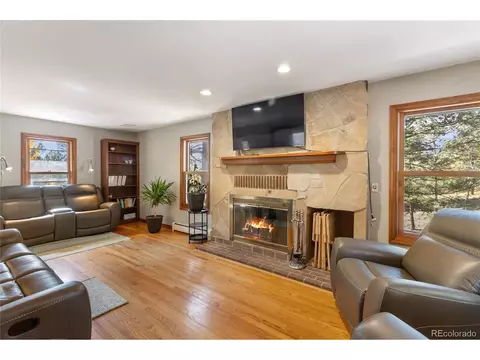 Living - 356 Spring Valley Dr, Divide, CO 80814 photo 1 of 3
