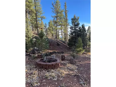 Exterior - 356 Spring Valley Dr, Divide, CO 80814 photo 5 of 5