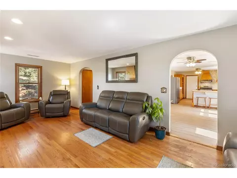 Living - 356 Spring Valley Dr, Divide, CO 80814 photo 3 of 3