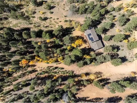 View/Area - 356 Spring Valley Dr, Divide, CO 80814 photo 4 of 8