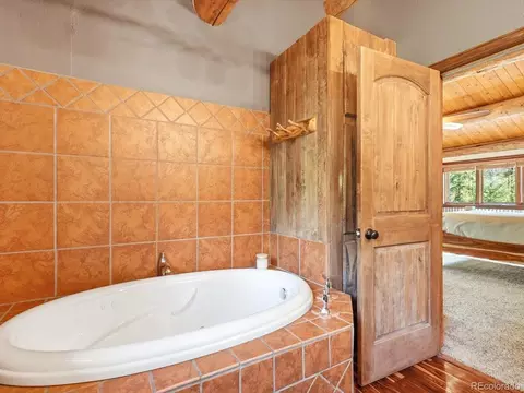 Bath - 74 Silver Lode Cir, Dumont, CO 80436 photo 2 of 3
