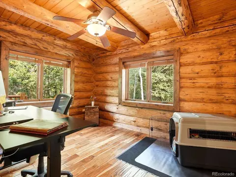 Other - 74 Silver Lode Cir, Dumont, CO 80436 photo 8 of 14