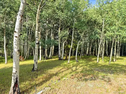 Exterior - 74 Silver Lode Cir, Dumont, CO 80436 photo 8 of 8