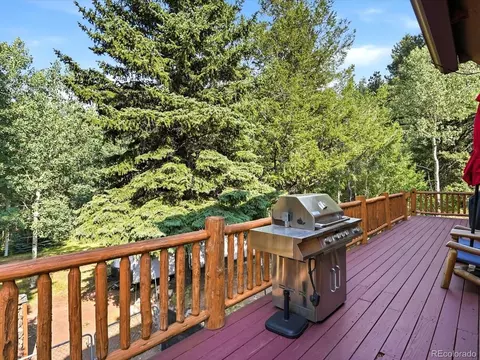 Exterior - 74 Silver Lode Cir, Dumont, CO 80436 photo 5 of 8