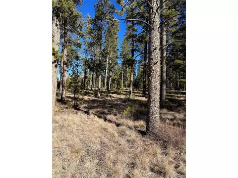 2269 Golf Course Cir Gcr 511, Tabernash, CO 80478 photo 28