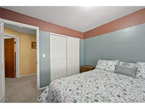 5476 E 113th Pl, Thornton, CO 80233 photo 19