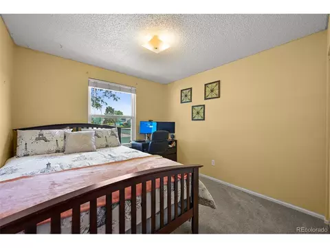 5476 E 113th Pl, Thornton, CO 80233 photo 21