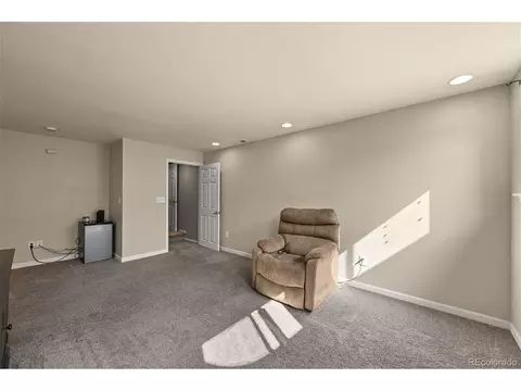 5476 E 113th Pl, Thornton, CO 80233 photo 28