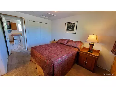 100 Cove Blvd #H, Dillon, CO 80435 photo 9