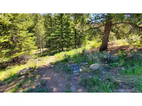 100 Cove Blvd #H, Dillon, CO 80435 photo 35