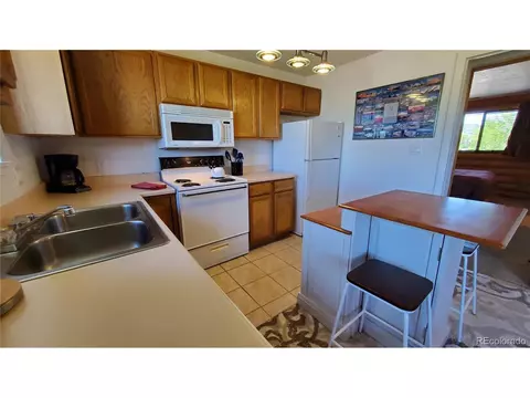 100 Cove Blvd #H, Dillon, CO 80435 photo 20