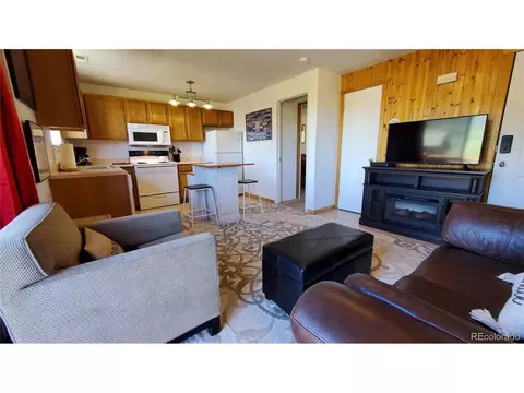 100 Cove Blvd #H, Dillon, CO 80435 photo 2