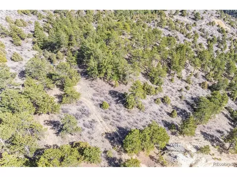 Wild Wagoner Tr, Dumont, CO 80452 photo 19