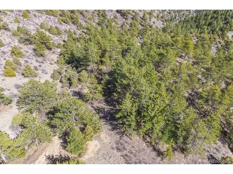 Wild Wagoner Tr, Dumont, CO 80452 photo 10