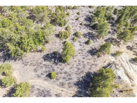 Wild Wagoner Tr, Dumont, CO 80452 photo 13