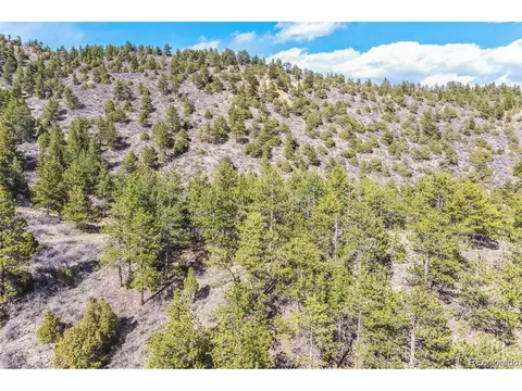 Wild Wagoner Tr, Dumont, CO 80452 photo 3