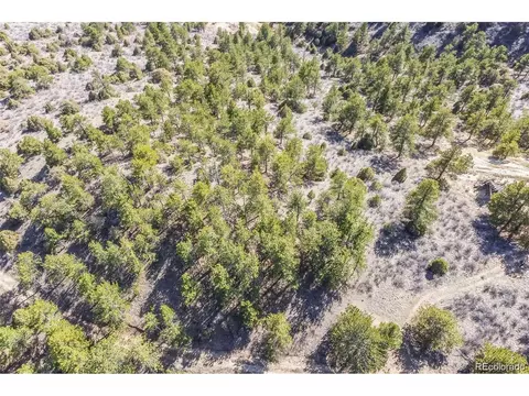 Wild Wagoner Tr, Dumont, CO 80452 photo 24