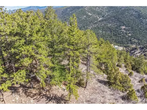 Wild Wagoner Tr, Dumont, CO 80452 photo 6