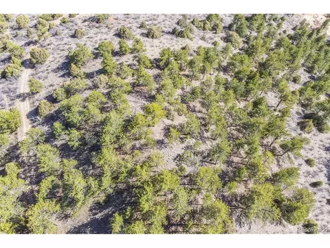 Wild Wagoner Tr, Dumont, CO 80452 photo 17