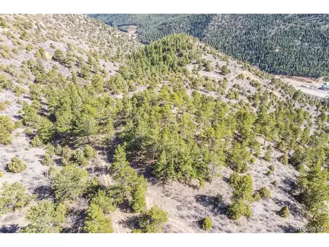 Wild Wagoner Tr, Dumont, CO 80452 photo 4