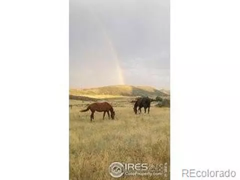 93 Juniper Ridge Rd, Laporte, CO 80535 photo 32