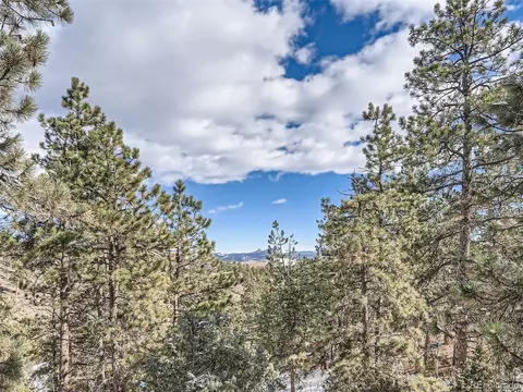 186 Bunny Rd, Bailey, CO 80421 photo 28