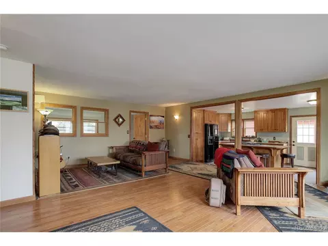 26367 Pressler St, Conifer, CO 80433 photo 20