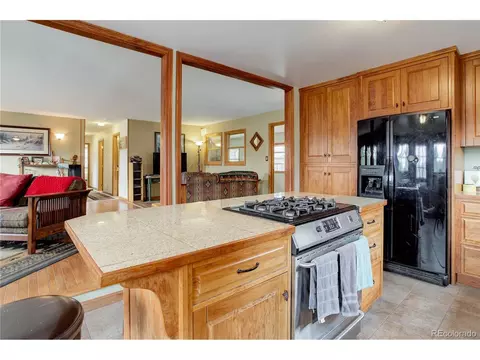 26367 Pressler St, Conifer, CO 80433 photo 13