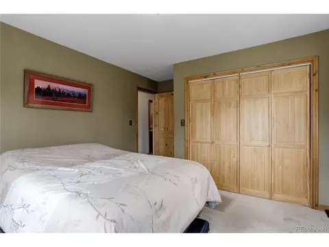 26367 Pressler St, Conifer, CO 80433 photo 27