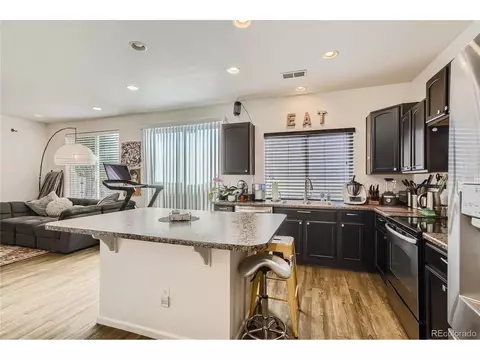 18634 E 47th Ave, Denver, CO 80249 photo 8