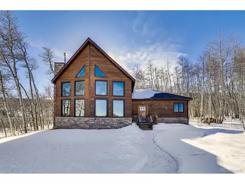 85 Warm Springs Rd, Fairplay, CO 80440
