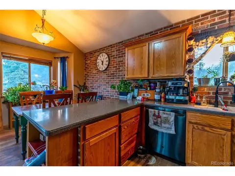 358 Beaver Trl, Bailey, CO 80421 photo 15
