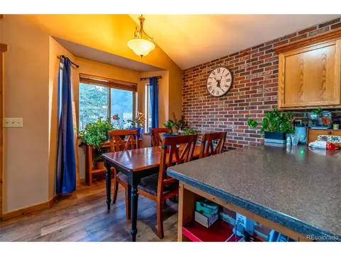 358 Beaver Trl, Bailey, CO 80421 photo 11