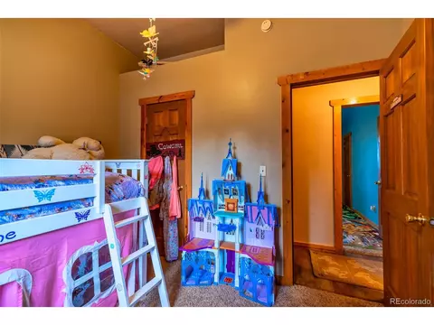 358 Beaver Trl, Bailey, CO 80421 photo 18